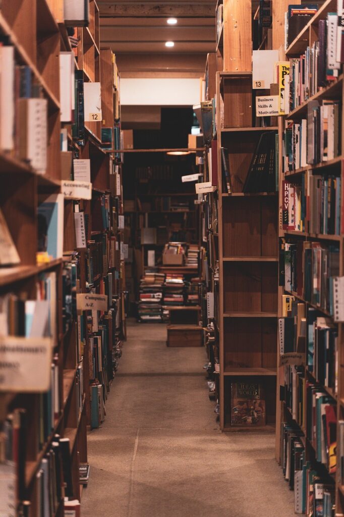 Literatur Politik